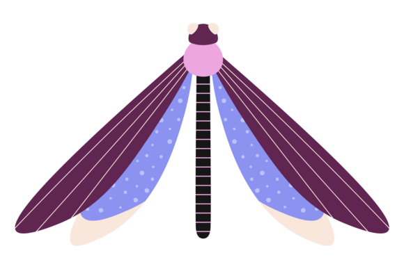 Decorative Dragonfly Color Drawing. Summ