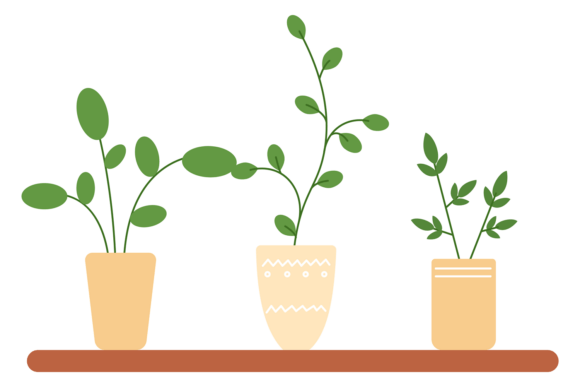 Urban Jungle Plants. Decorative Interior Graphics